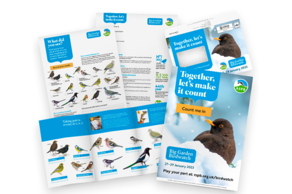 Claim Your FREE RSPB Birdwatching Pack and Support Wildlife!