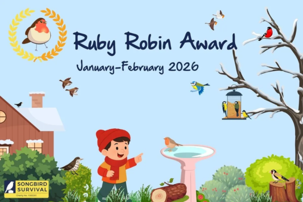 FREE Ruby Robin Rescue Kit